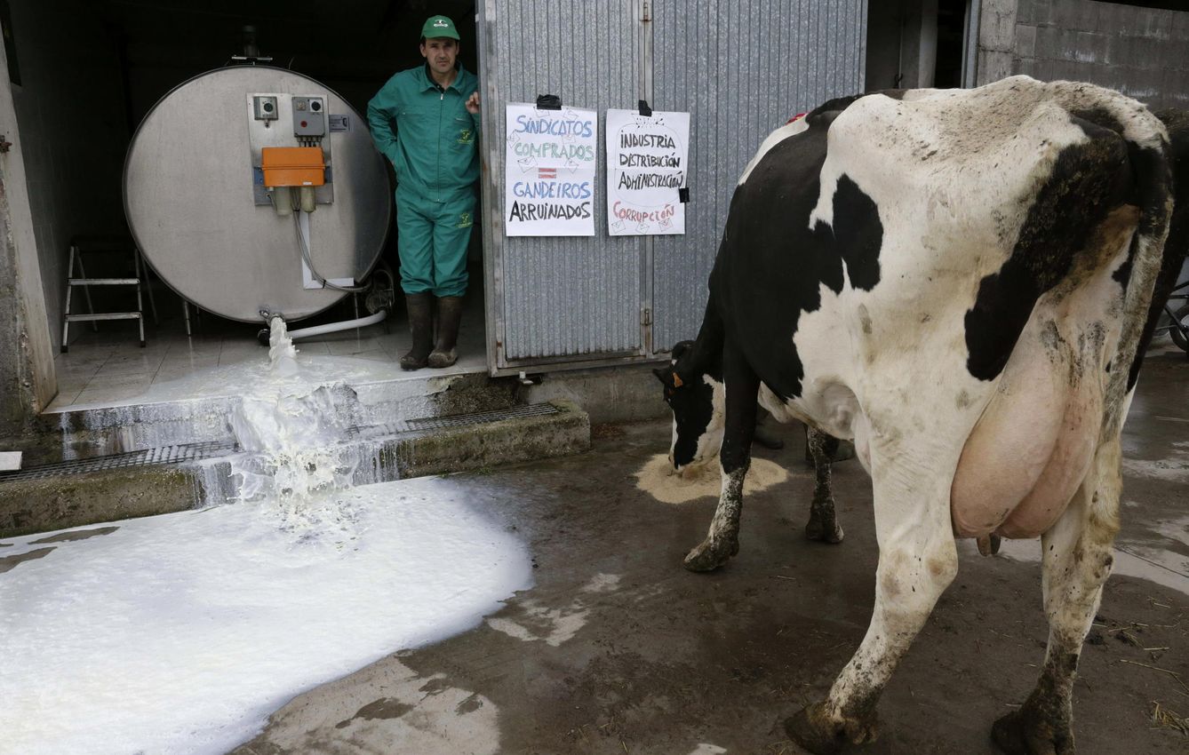 Protesta de los ganaderos por los bajos precios de la leche. (EFE)