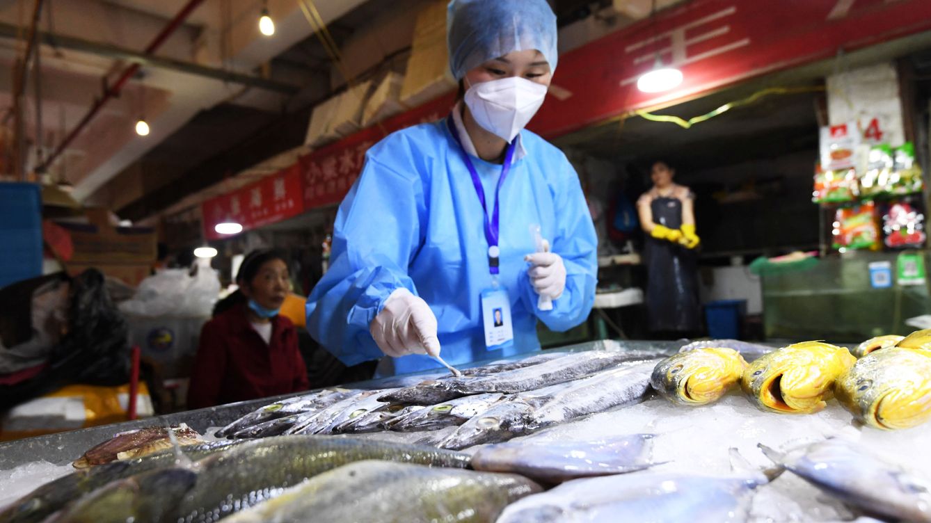 Foto: Pruebas en pescado congelado en Guizhou, China. (Reuters)
