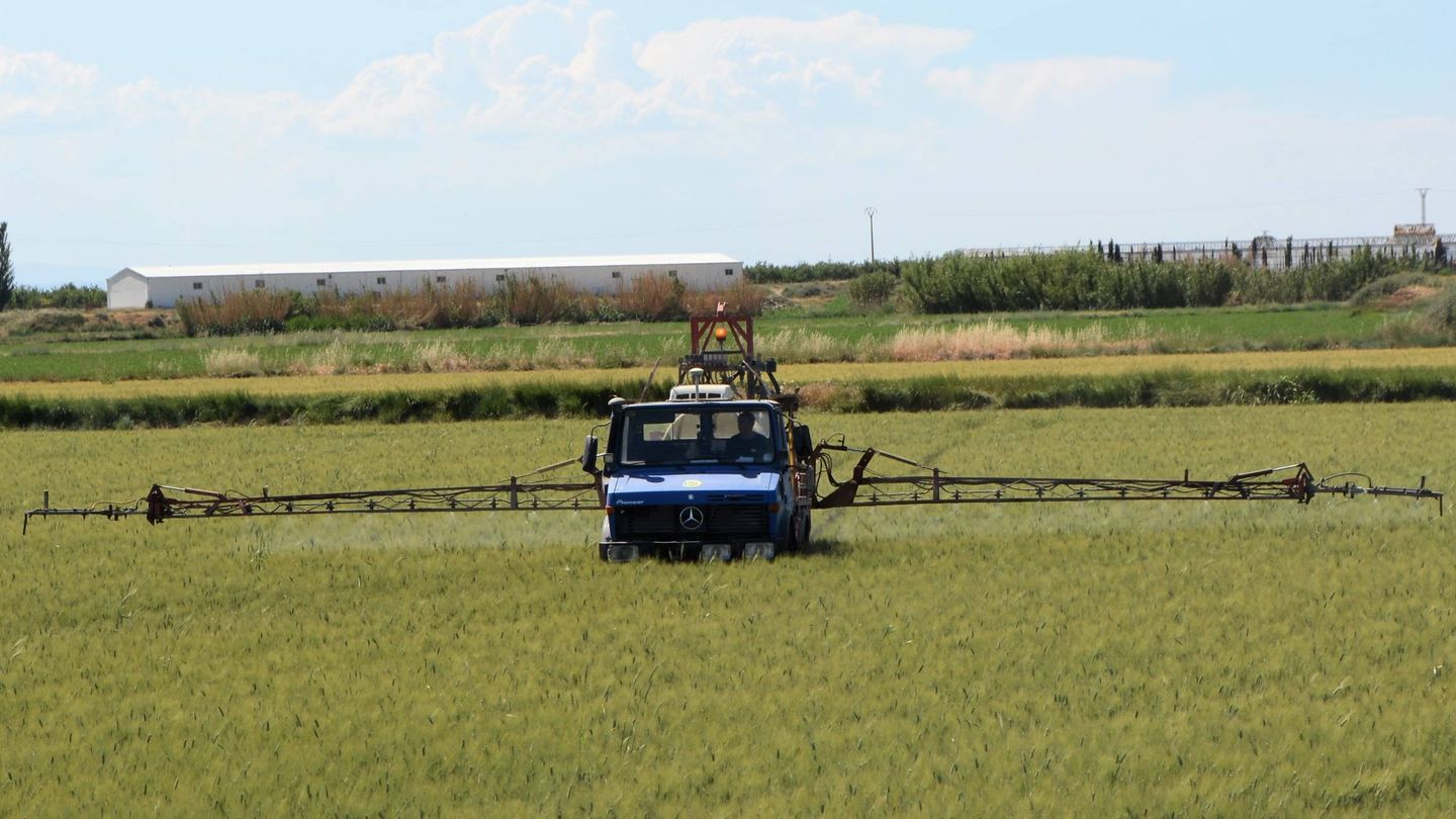 Aplican fungicida en campo de trigo de Tauste (Zaragoza) 35 días antes de la cosecha. (M. G.)