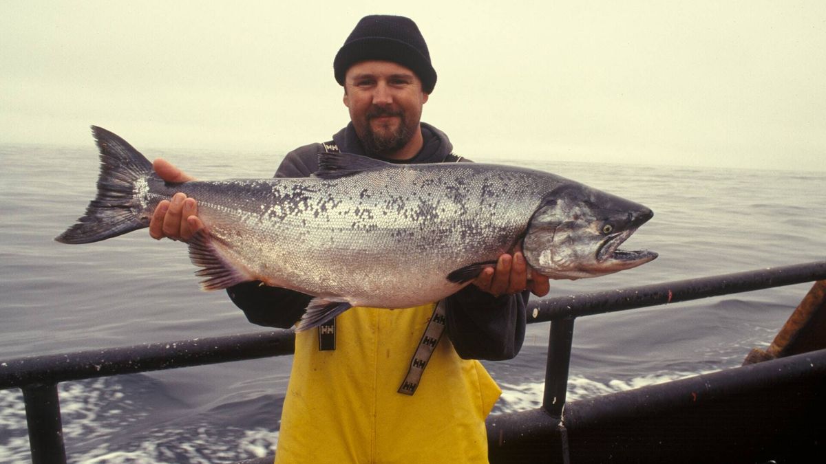 Pescan un pez siluro de 57 kilos en Carolina del Norte, el más grande del estado