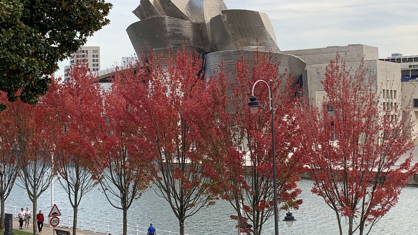 Árboles de otoño frente al Guggenheim. (EFE)