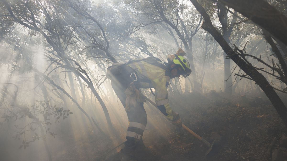 Estabilizados Bejís y Vall d'Ebo, pero España ya registra el 2º peor dato de incendios del siglo tras 2006