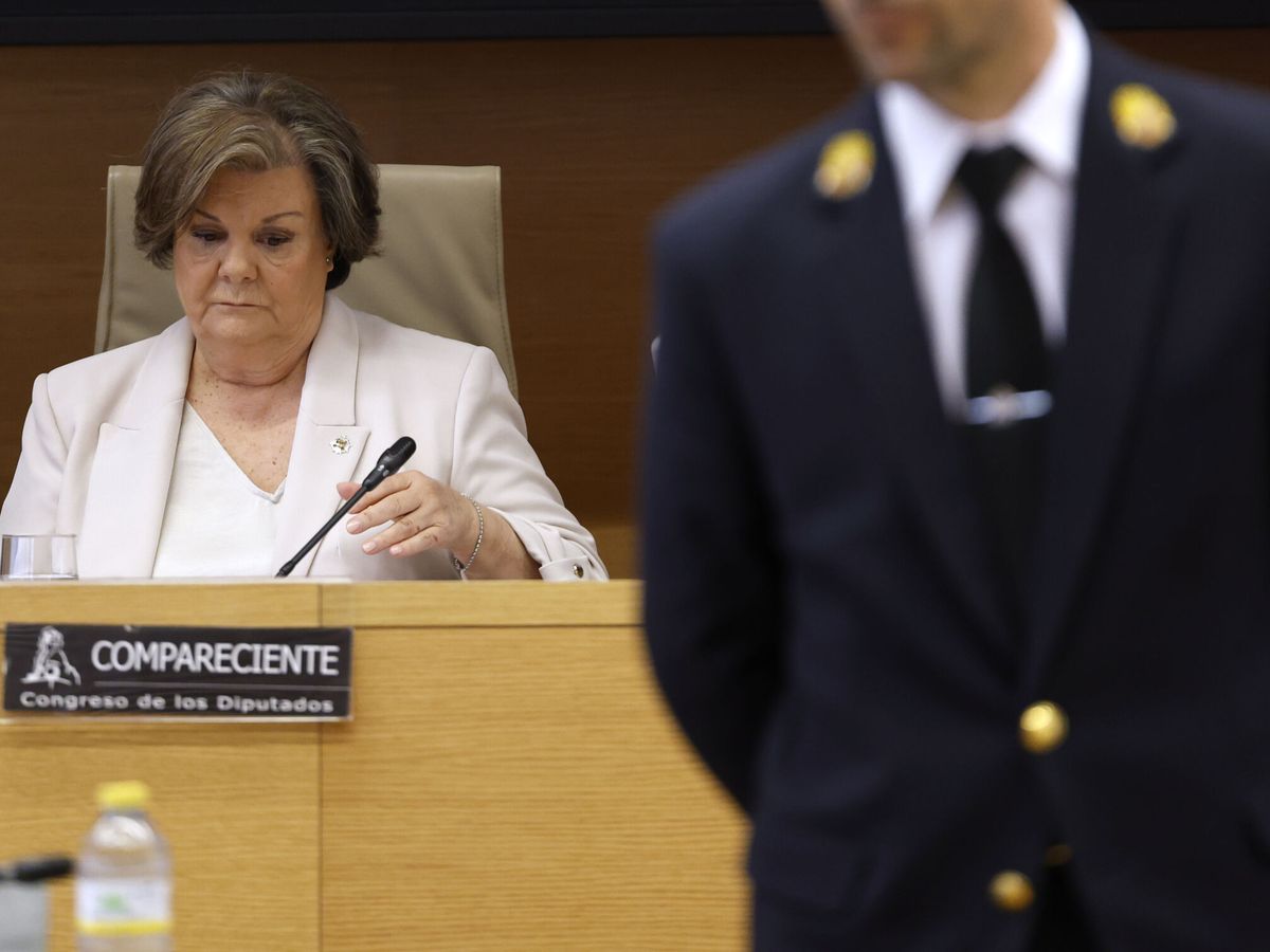Foto: La presidenta del Tribunal de Cuentas, Enriqueta Chicano. (EFE/Javier Lizón)