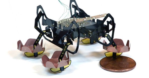 Foto: La cucaracha robótica de última generación. (Harvard University)