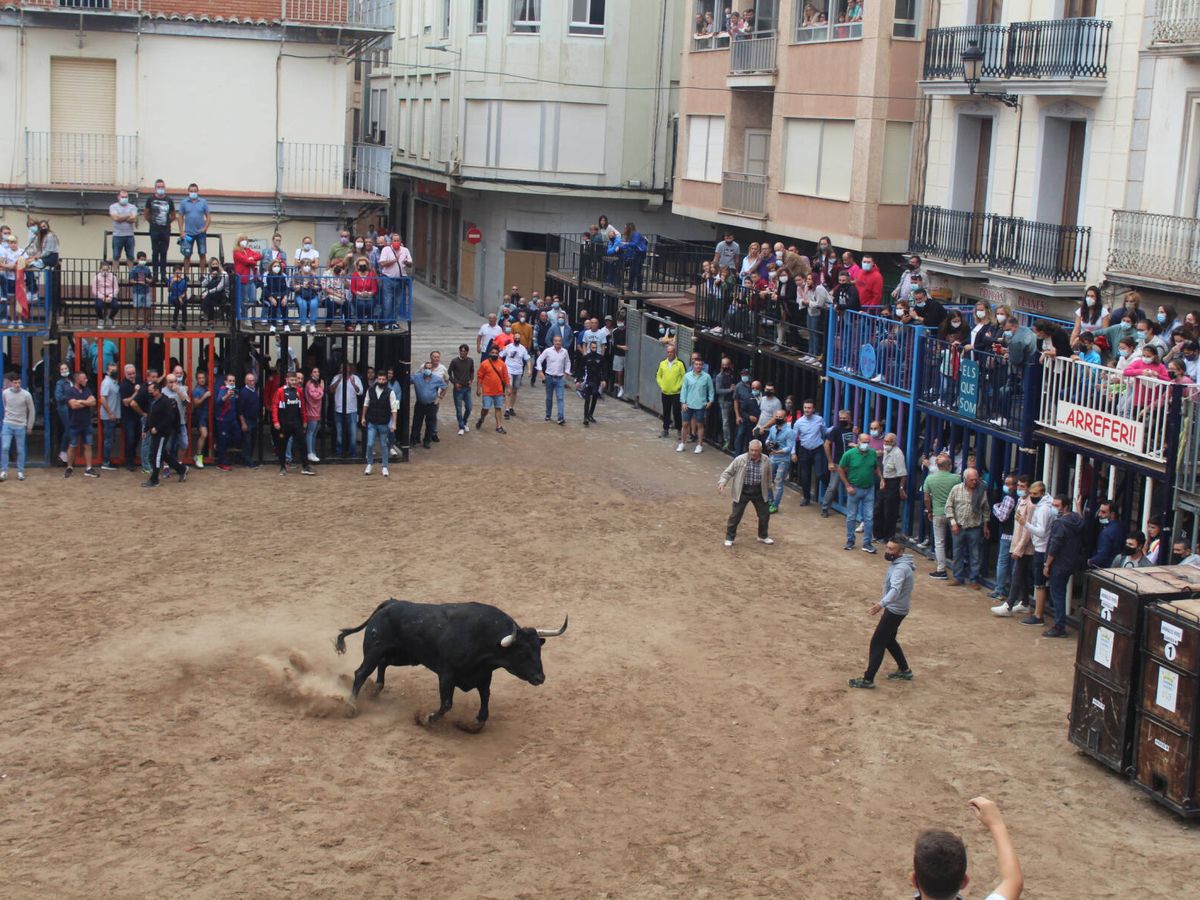 Foto: Festejos de 'bous al carrer' Nules (Castellón). Foto de archivo. (Ayuntamiento de Nules) 