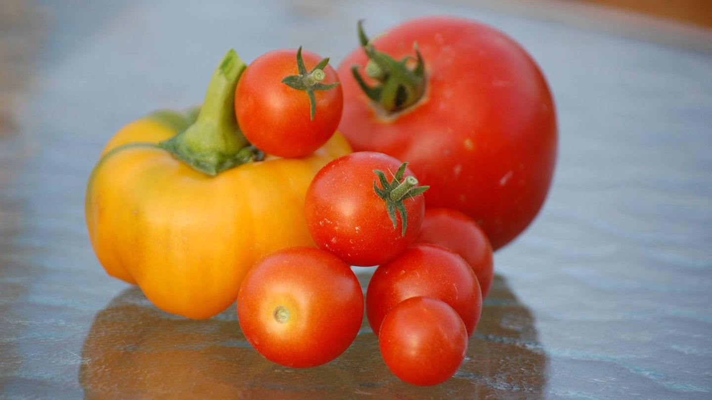 Dieta del tomate para adelgazar. (Elly Johnson para Unsplash)