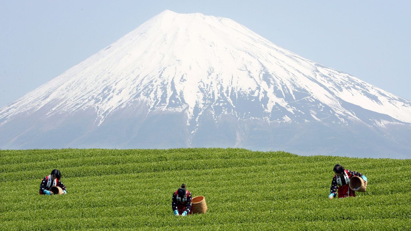 El Monte Fuji. (Reuters) 