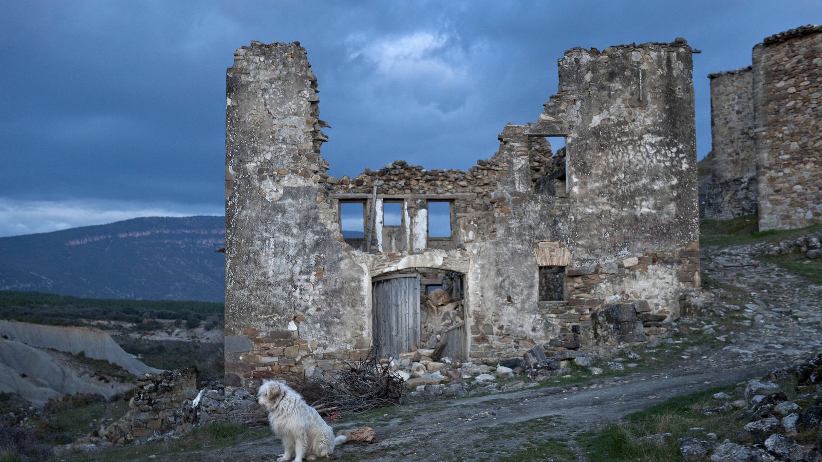 Foto: Un perro se sienta sobre las ruinas de Esco, Aragón. (Reuters/Vincent West)