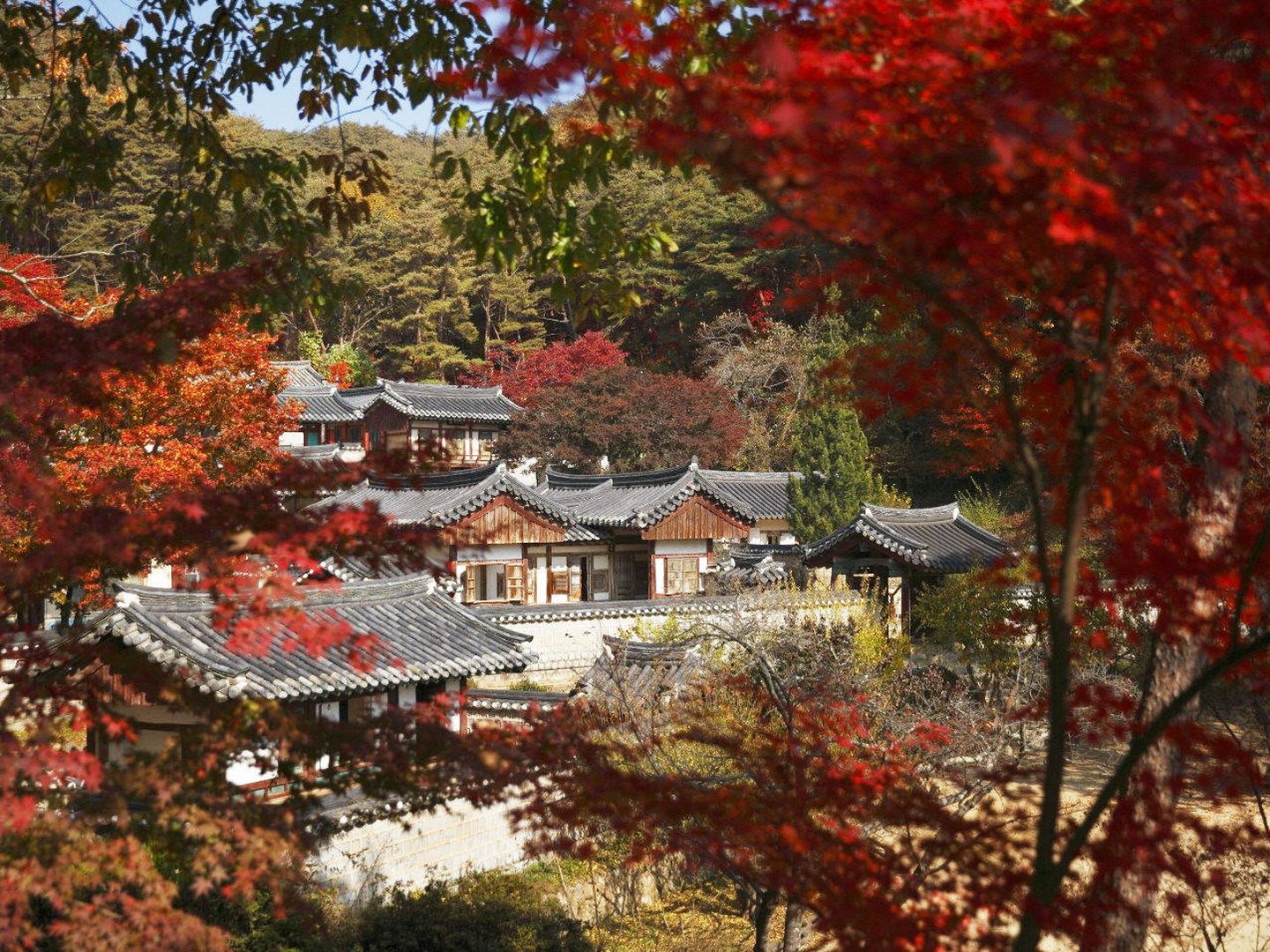 Dosan Seowon (Oh Jong-eun © Council for Promotion of the Inscription of Confucian Academies on the World Heritage List)