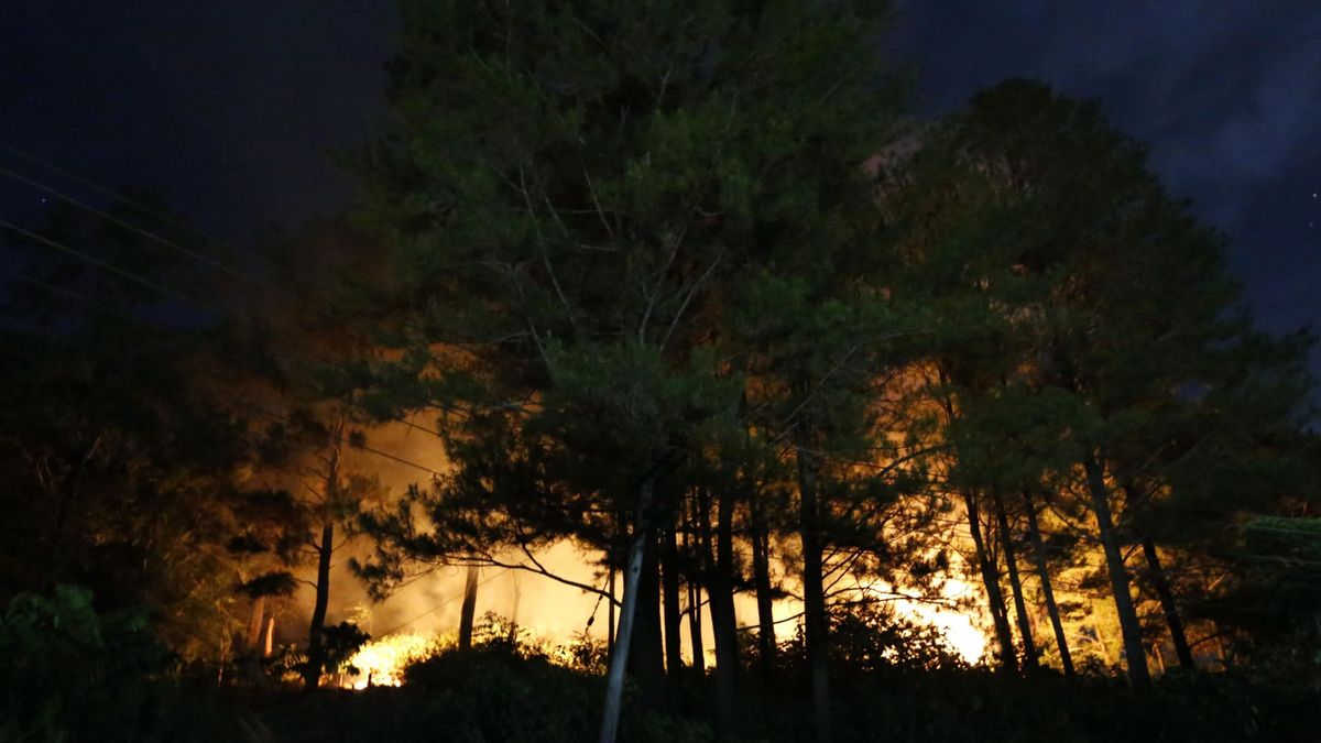 Un incendio quema el Bosque de las cien acres, donde 'vive' Winnie the Pooh