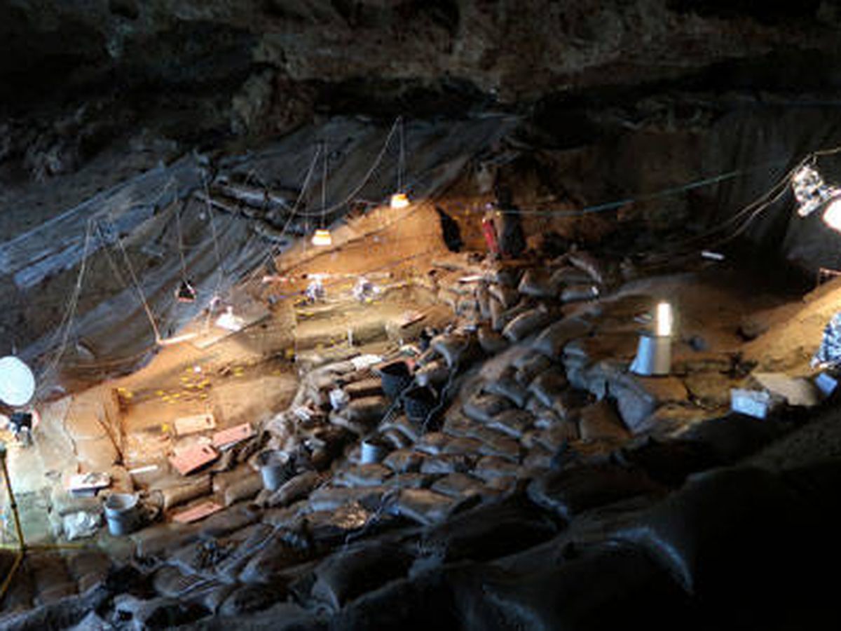 Foto: Cueva donde se han encontrado los restos de plantas. Foto: Universidad de Witwatersrand