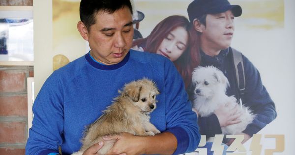 Foto: El propietario de un perro en China. (Reuters)