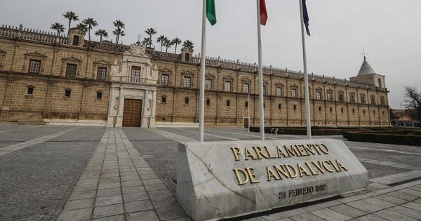 Foto: Parlamento de Andalucía. (EFE)