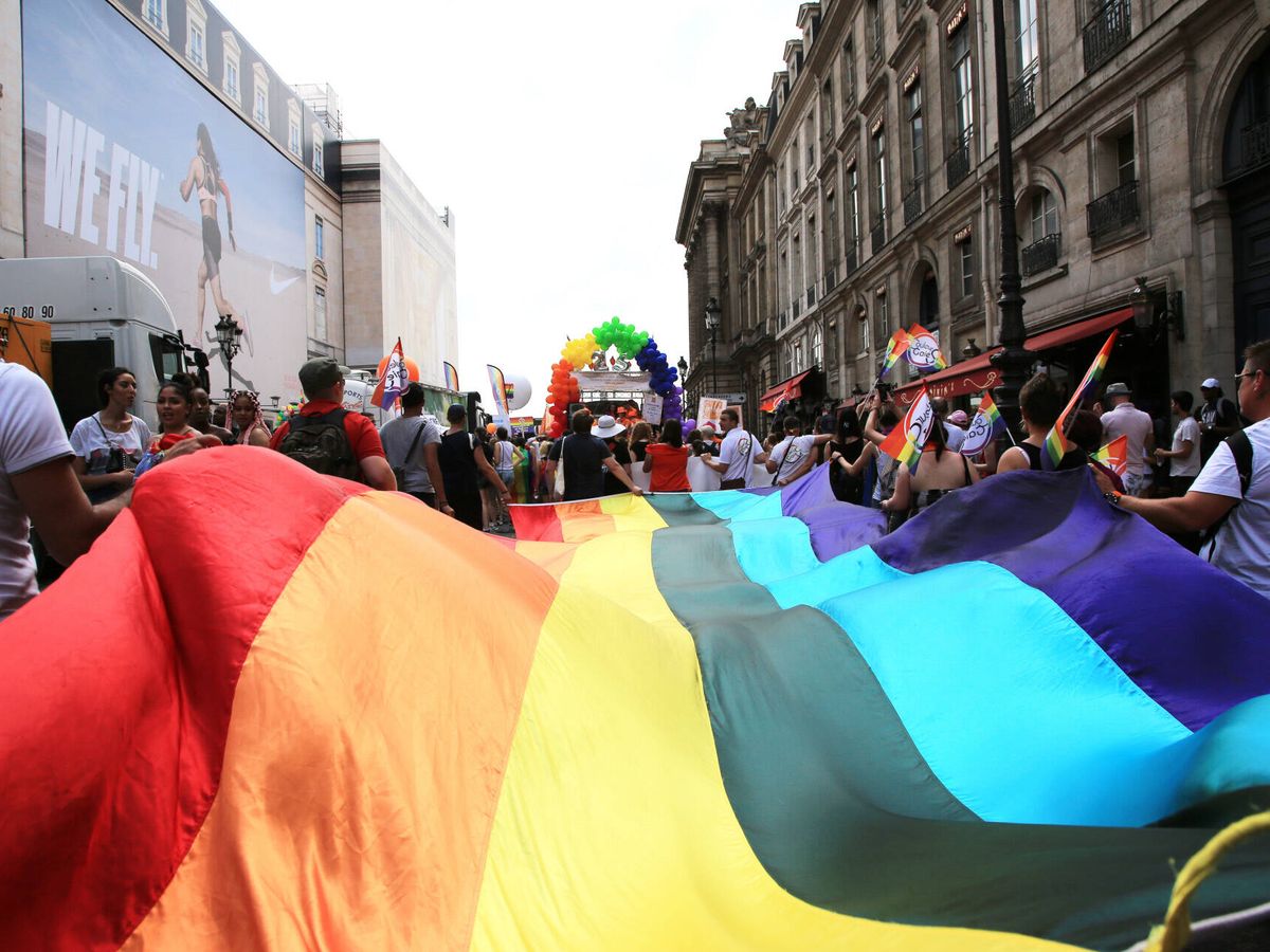 Foto: La bandera LGTBIQ  , imprescindible en una manifestación. (Gtres)