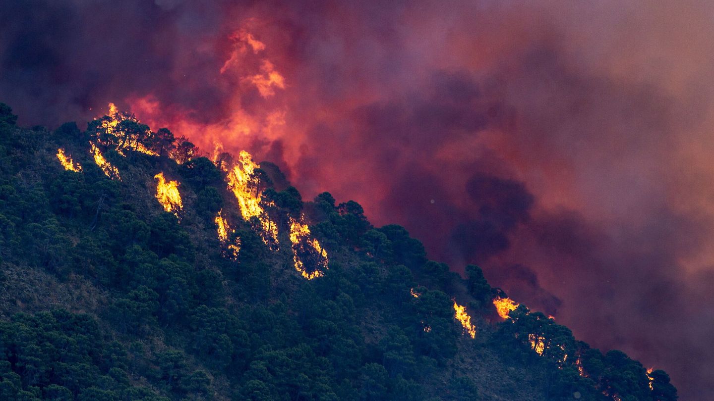 Vista del incendio de Pujerra. (EFE/Daniel Pérez)