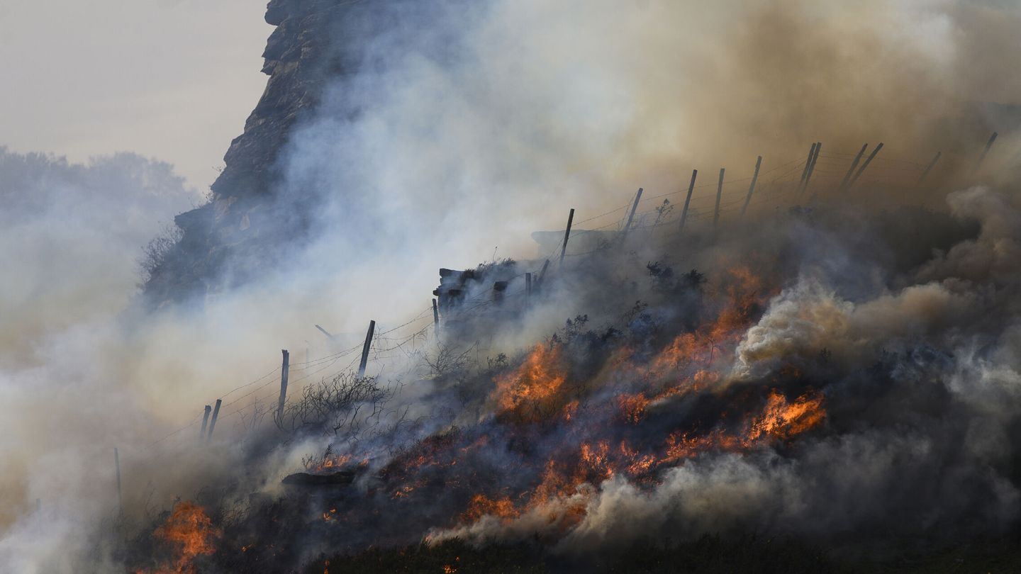 Incendios forestales: causa y consecuencia del cambio climático. (EFE/Pedro Puente)