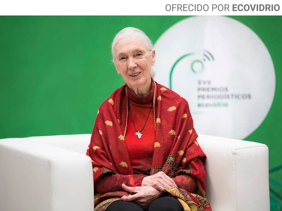 Foto: La doctora Jane Goodall recibió el premio a la Personalidad Ambiental en la XVII edición de los Premios Ecovidrio. (Cortesía)