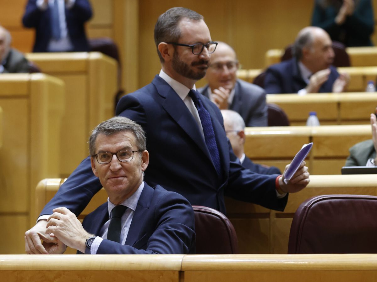 Foto: El senador del PP, Javier Maroto (d), y el líder del PP, Alberto Núñez Feijóo. (EFE/Juan Carlos Hidalgo)