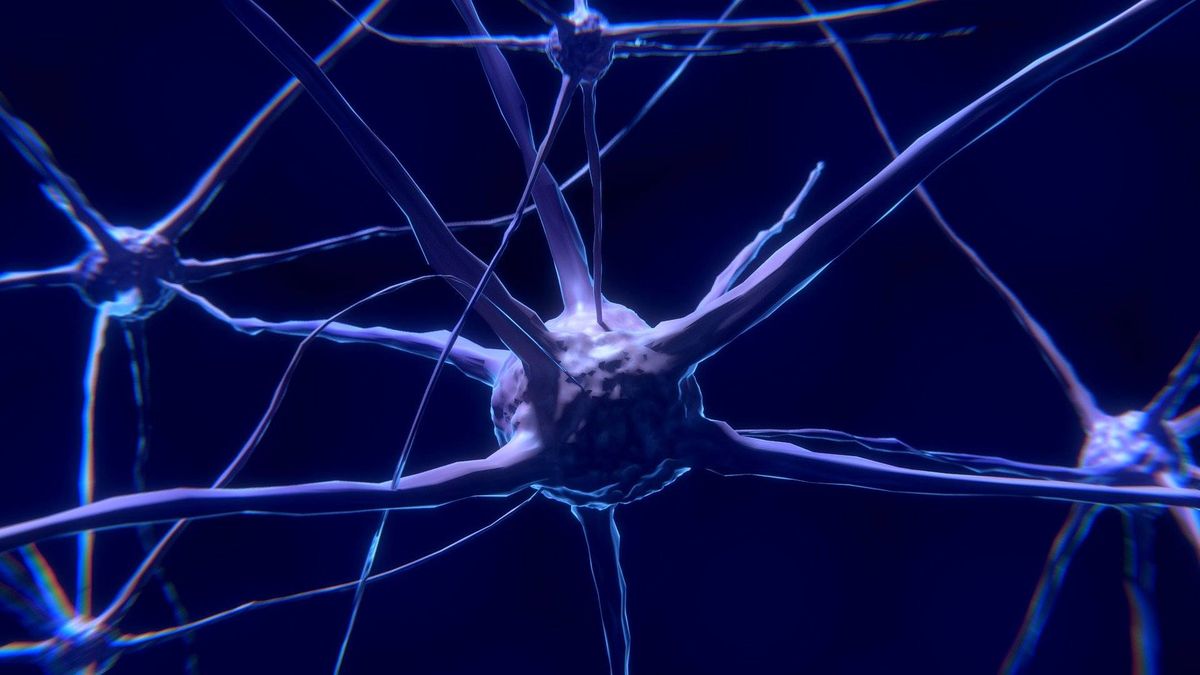 Estudian la relación entre células madre y neuronas para detener el cáncer