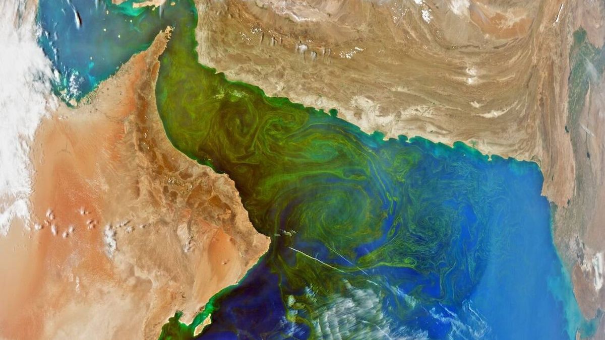 La NASA comparte imágenes de su satélite PACE y desvela el verdadero color de los océanos