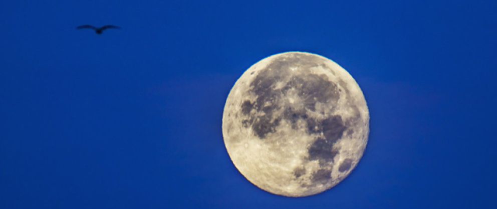 Foto: Hoy podremos ver la luna llena más grande y brillante del año