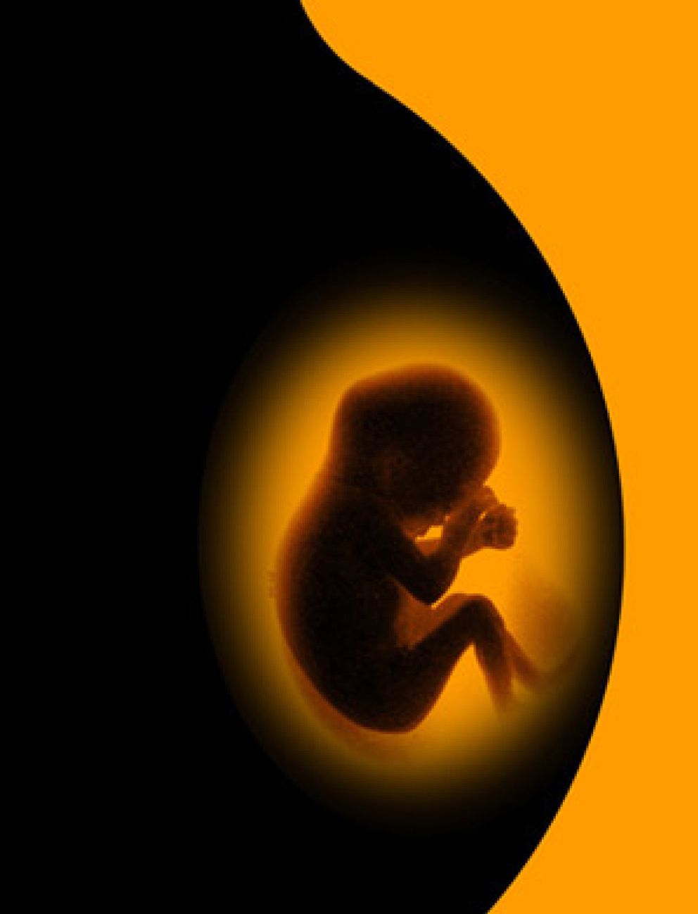 Foto: Multa de 360 euros por provocarse un aborto