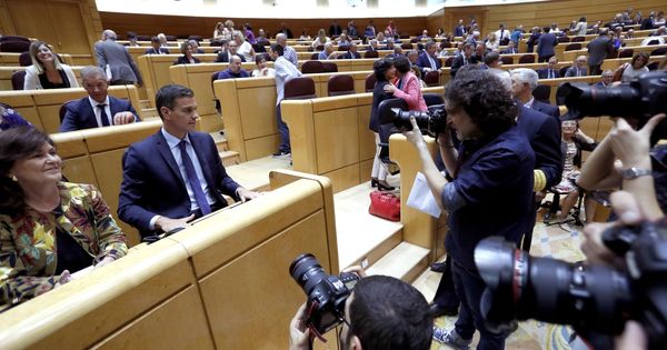 Foto: El presidente del Gobierno, Pedro Sánchez, en el Senado. (EFE)
