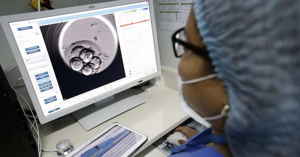 Foto: Análisis de óvulos en una clínica de fertilidad. (EFE)