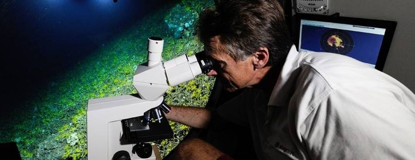 Imágenes de la investigación de la Fundación Rebikoff-Niggeler, pioneros en el estudio de especies marinas microscópicas.
