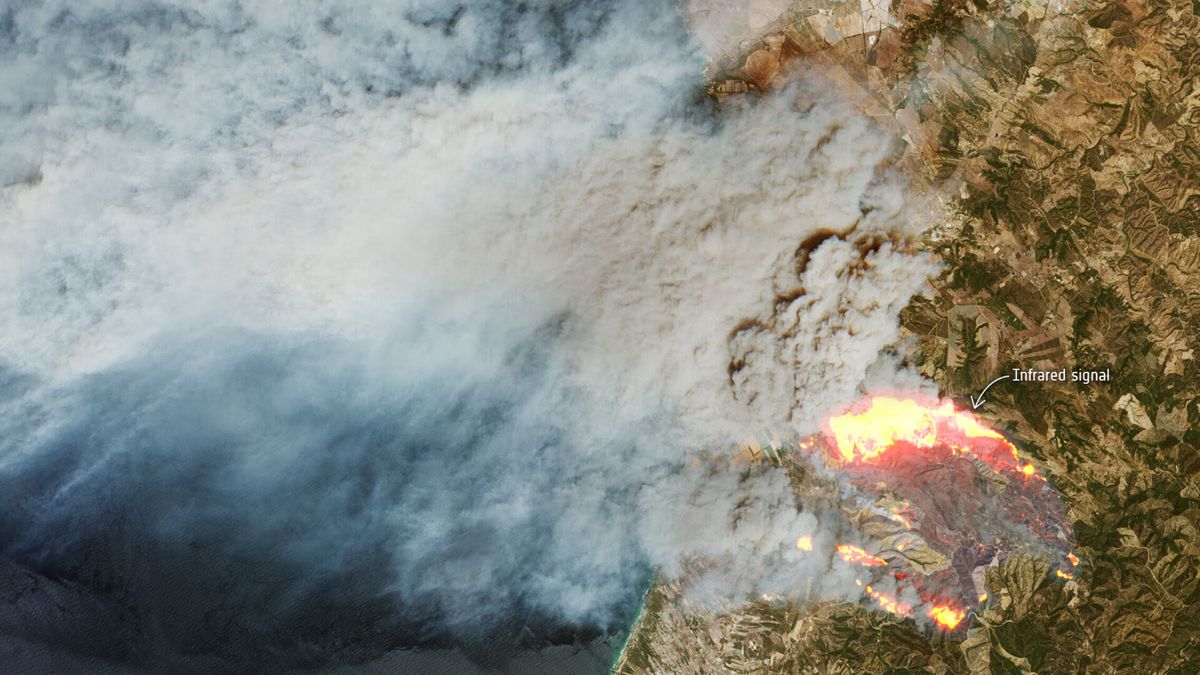 El incendio de Argozelo (Portugal) está ya a dos kilómetros de la frontera de Zamora