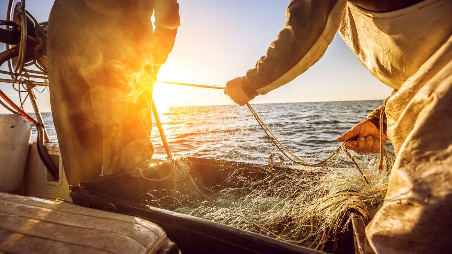 La pesca debe contribuir a la conservación de los mares (Fuente: MSC)