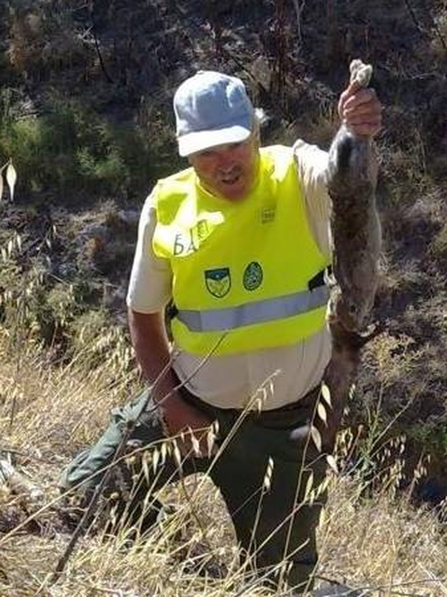 Proceso de captura de liebres y conejos en Madrid