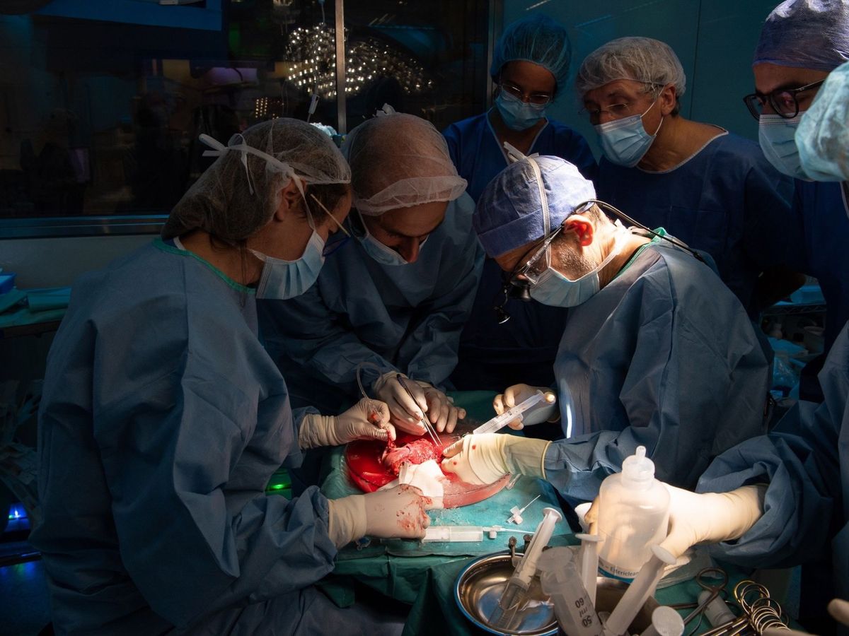 Foto: Foto distribuida por el Hospital Clínic de Barcelona, que ha llevado a cabo el primer trasplante de útero en España de una donante viva. (EFE)