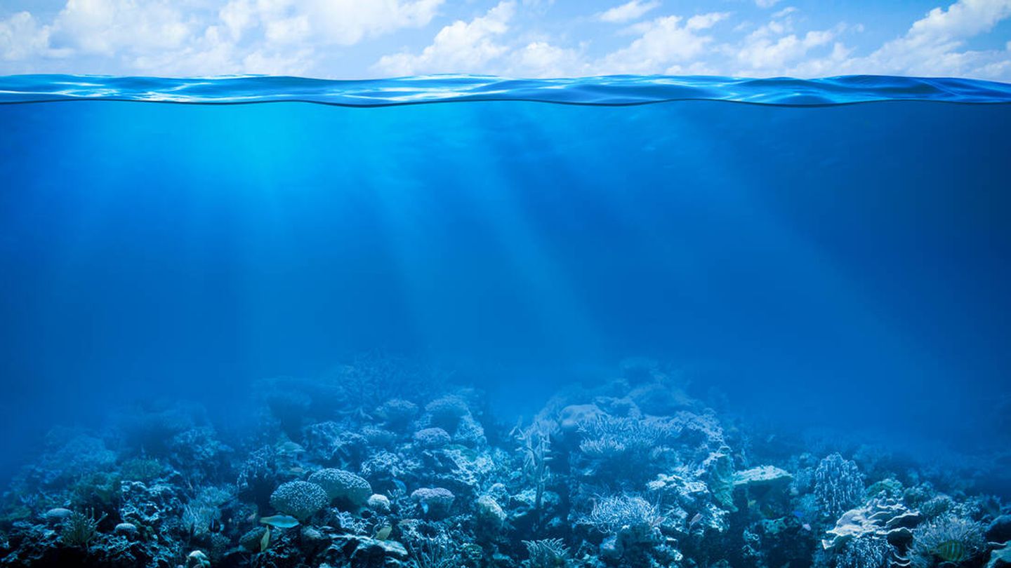 Estamos muy lejos de nuestro objetivo de proteger el 30% de las áreas marinas. (iStock)