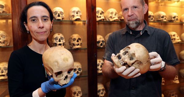 Foto: La conservadora del Museo Canario, Teresa Delgado, y el arqueólogo de la Universidad de Las Palmas Javier Velasco. (EFE)
