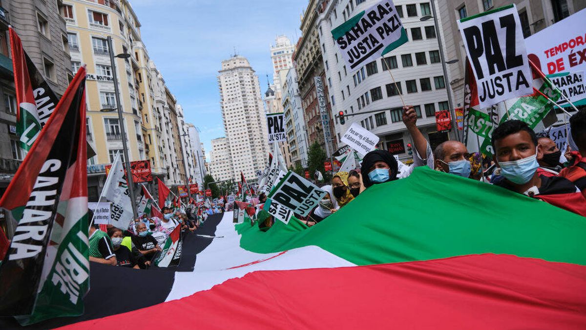 Voces de la diáspora saharaui: "España siempre cede a los chantajes de Marruecos"