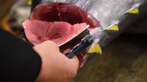 Golpe a la industria atunera: el fraude del atún amenaza un sector clave en España