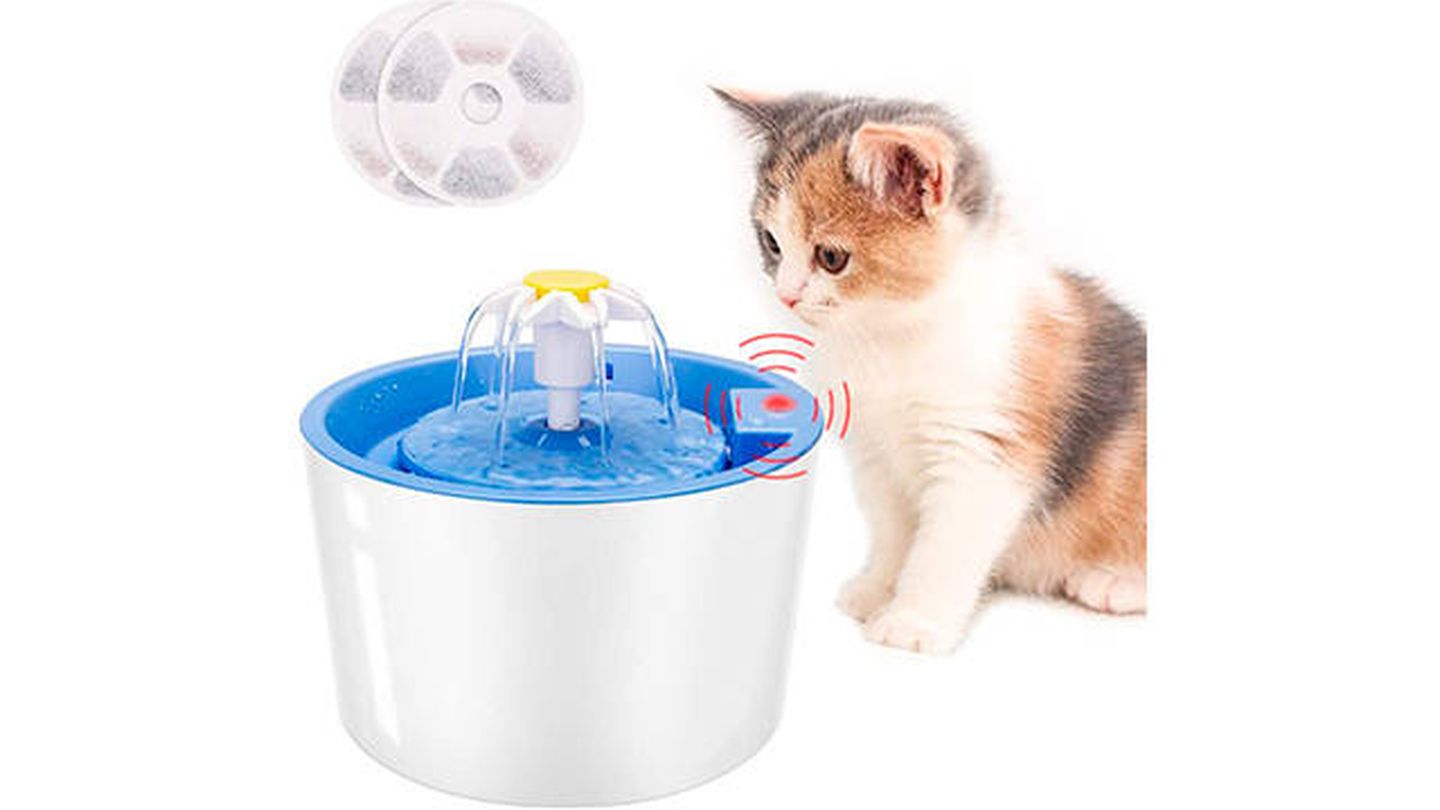 violación Examinar detenidamente fuerte Fuentes de agua para gatos: que tu mascota esté siempre hidratada