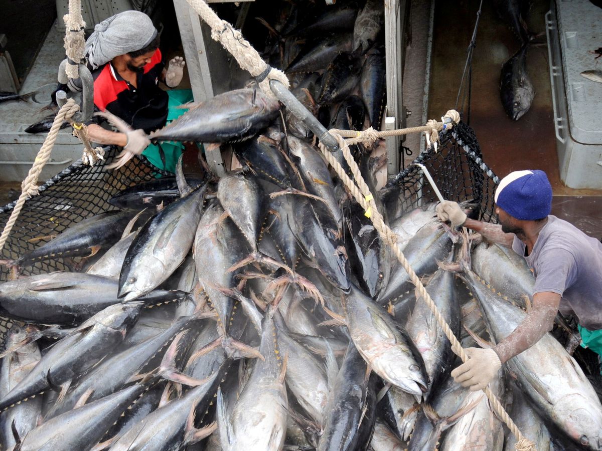 Foto: Pescadores de atún (Reuters/ G. Thande)