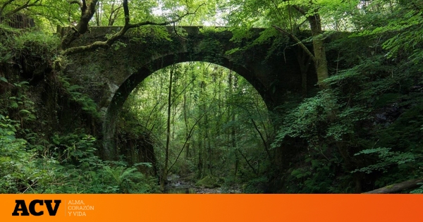 Es conocido como el Jurassic Park español: el parque natural de Galicia que es ideal para pasear en otoño