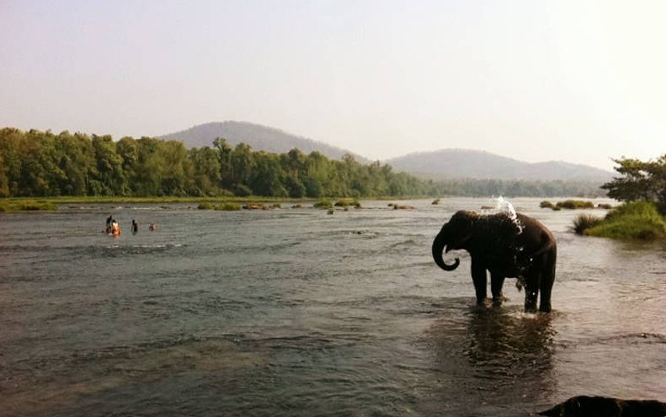 Un elefante se refresca en la India.