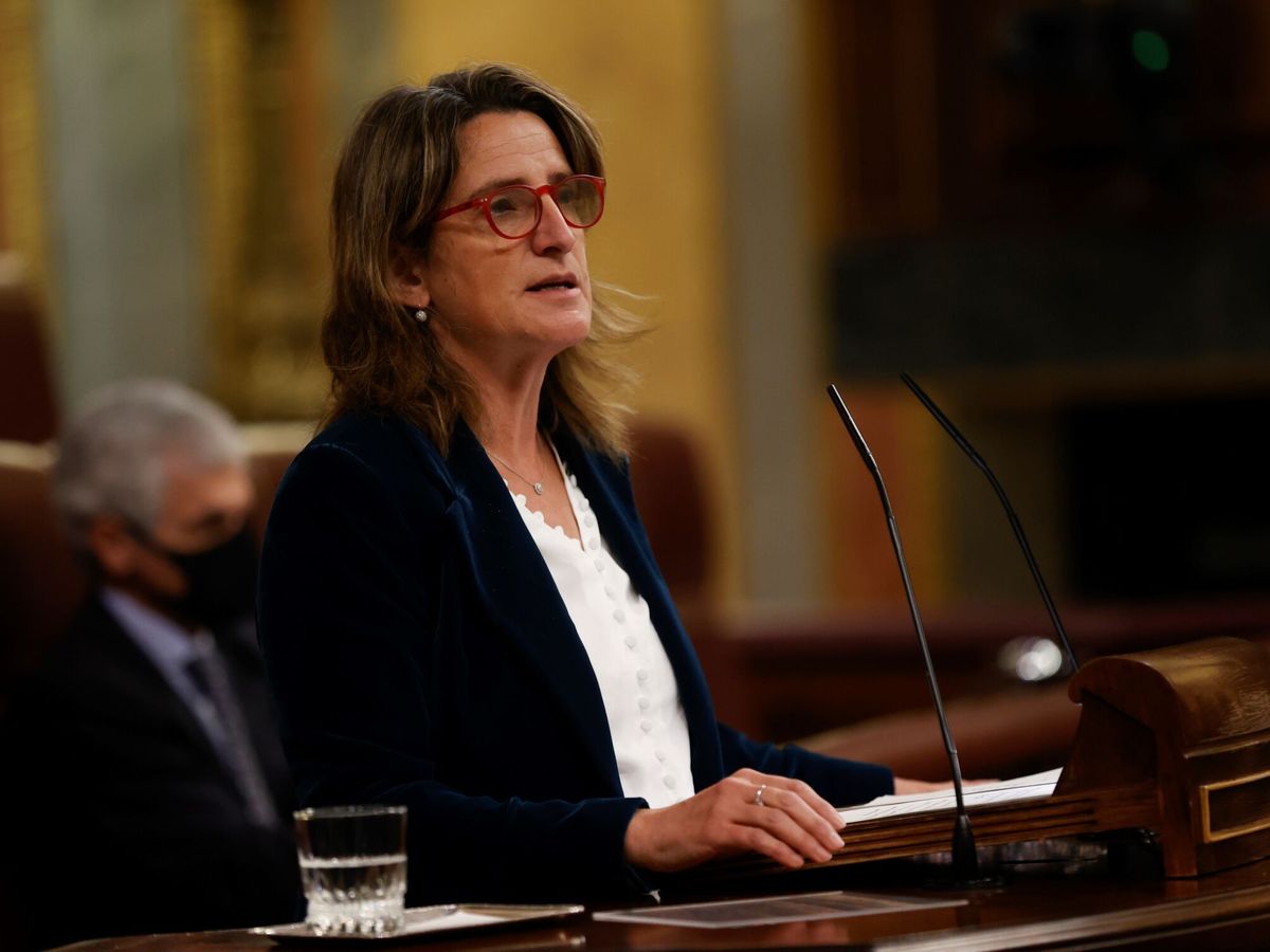 Foto: La ministra para la Transición Ecológica, Teresa Ribera. (EFE/Juan Carlos Hidalgo)