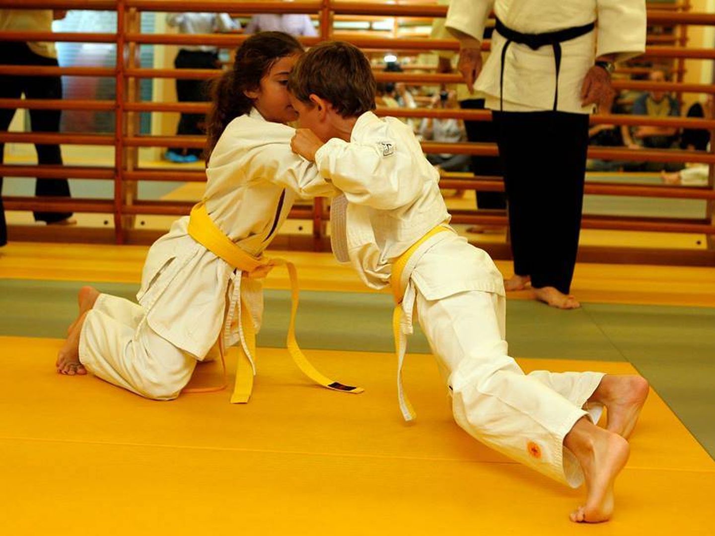 Una clase de judo en el centro Leonarmi, en Tres Torres, Barcelona. (Facebook)