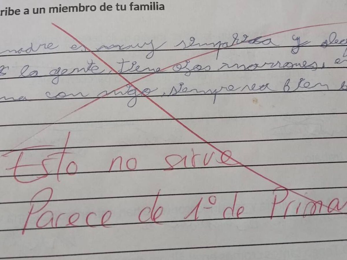 Foto: "Parece de 1º de Primaria": el hermano de un menor con TDAH critica el comentario de su profesor en un examen (Twitter/@samuelodevilas)