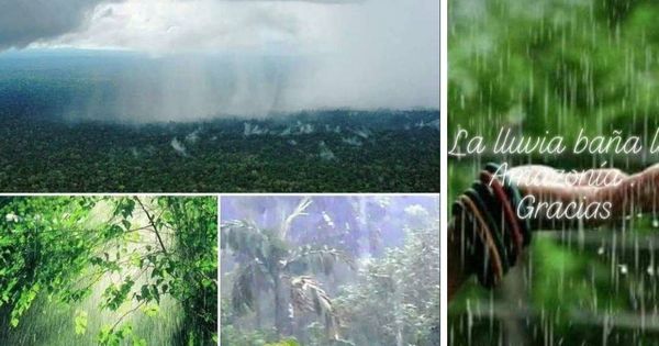 Foto: Imágenes falsas de lluvia en el Amazonas compartidas en las redes sociales