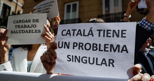 Foto: Manifestación contra las palabras de Catalá. (EFE)