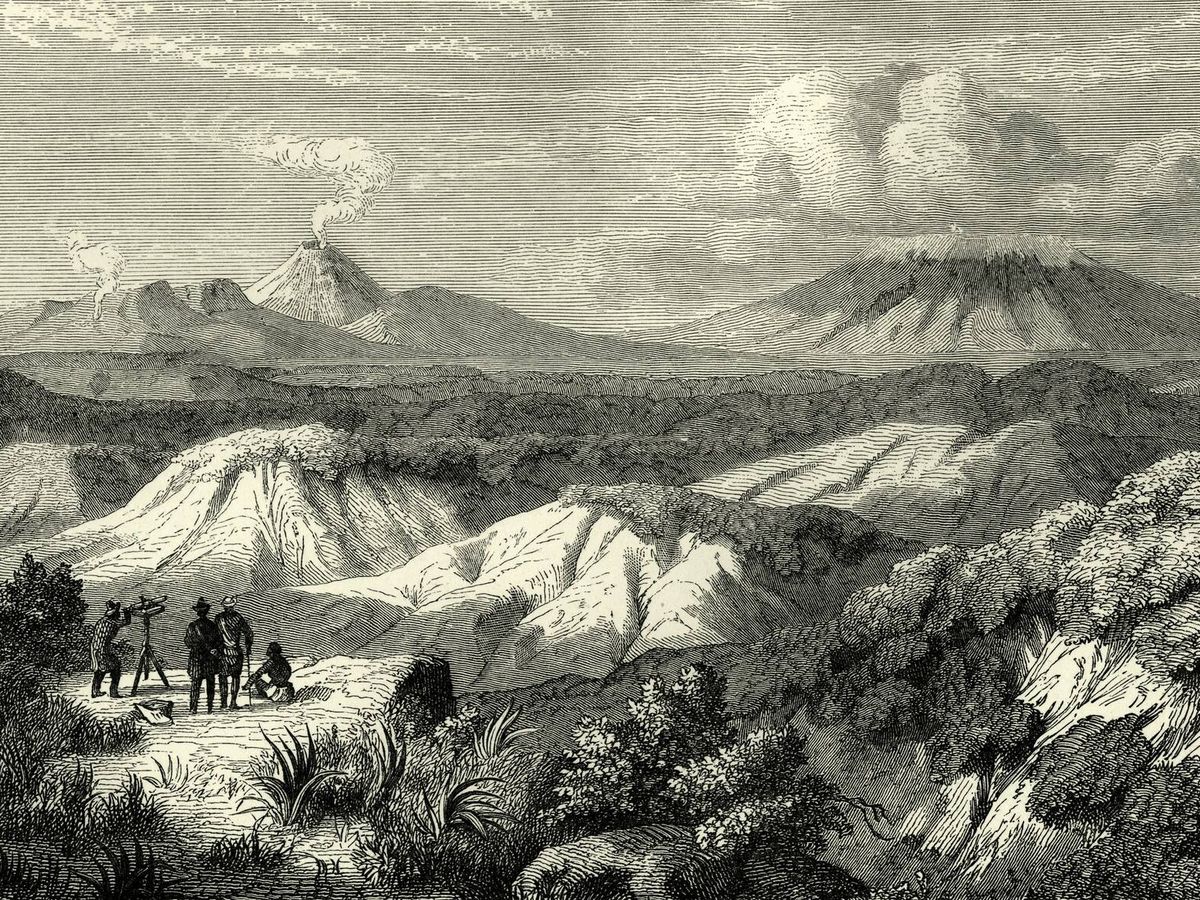 Foto: Ilustración de Nueva Zelanda en el Siglo XIX (Fuente: iStock)