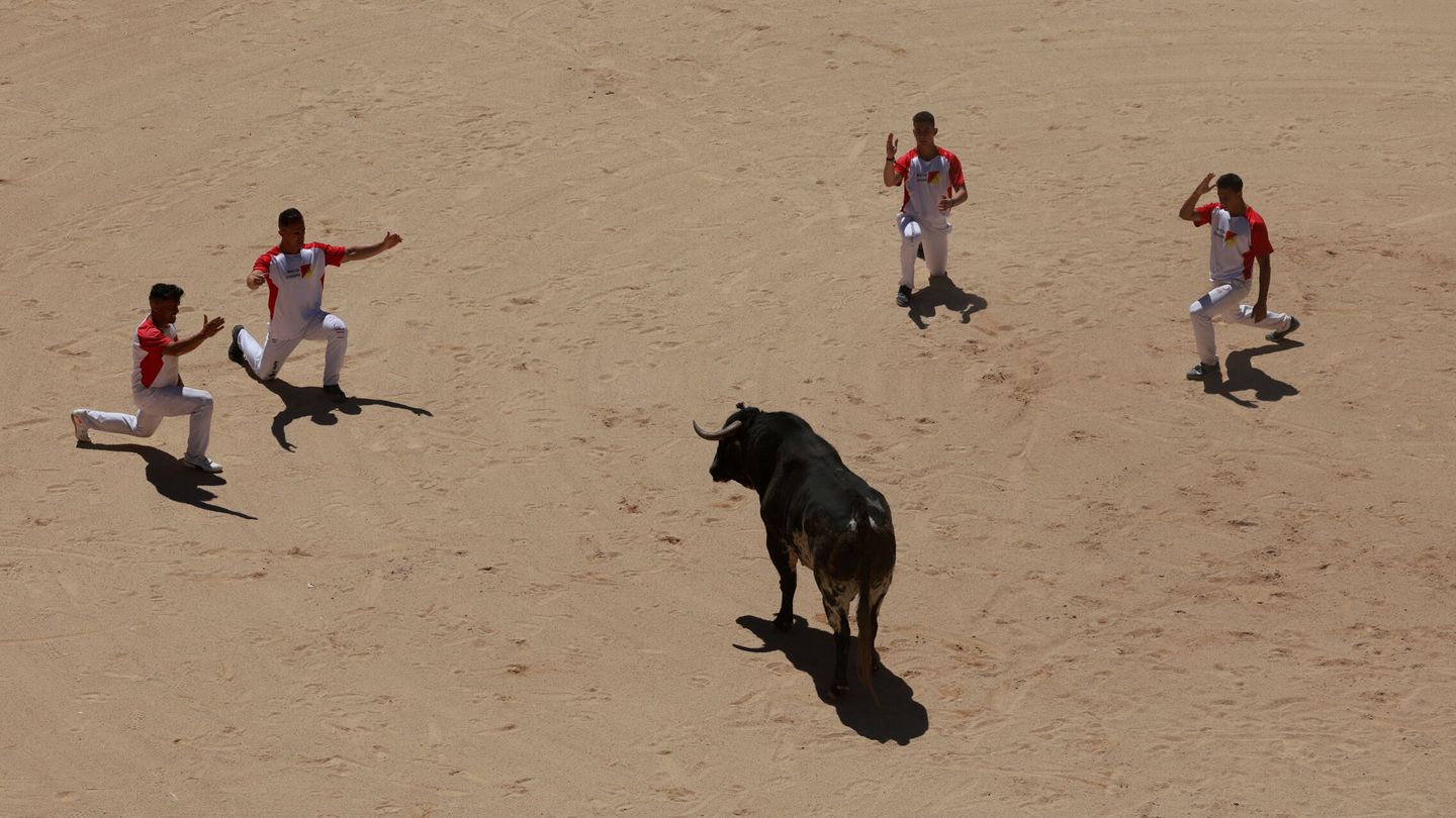 Varios recortadores citan a un toro en Pamplona. (Reuters/Vincent West)