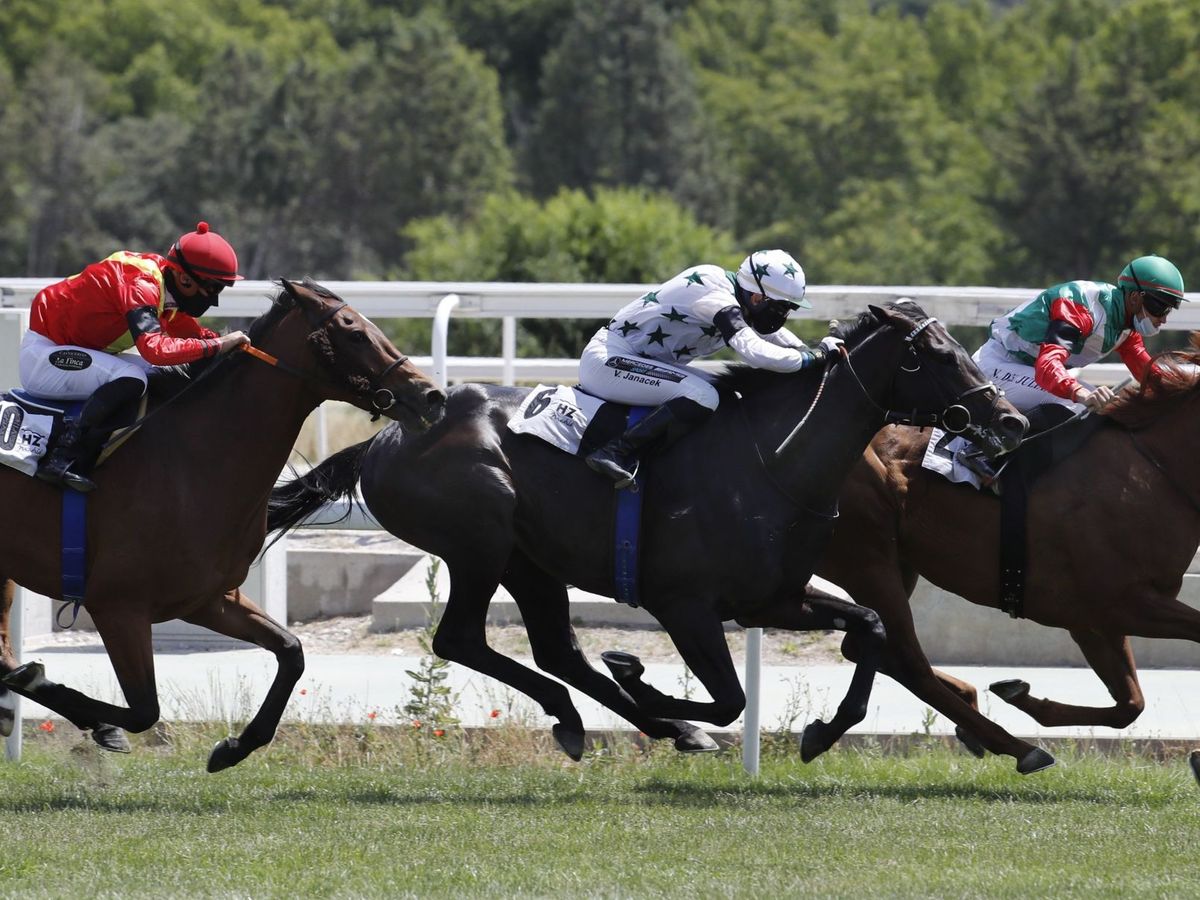 Foto: Carreras de caballos en el Hipódromo de la Zarzuela. (EFE)