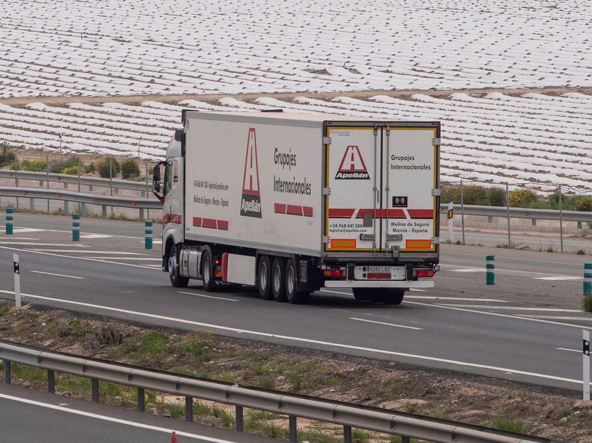 Foto: Un camión circula por la autovía A-30 que une Cartagena con Albacete. (EFE) 